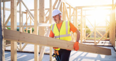 timber frame house kits